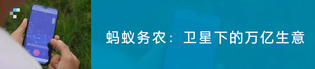 麦当劳：当总经理的人不一定是学霸