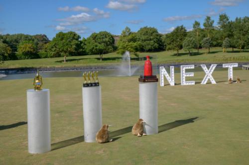 微信图片 20201128080429